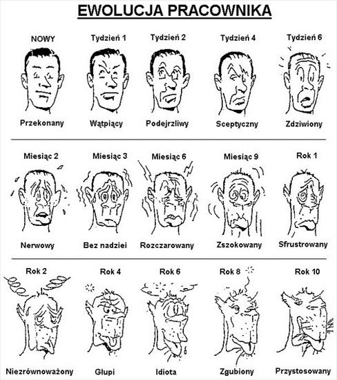 CERTYFIKATY NA WESOŁO - Ewolucja pracownika.jpg