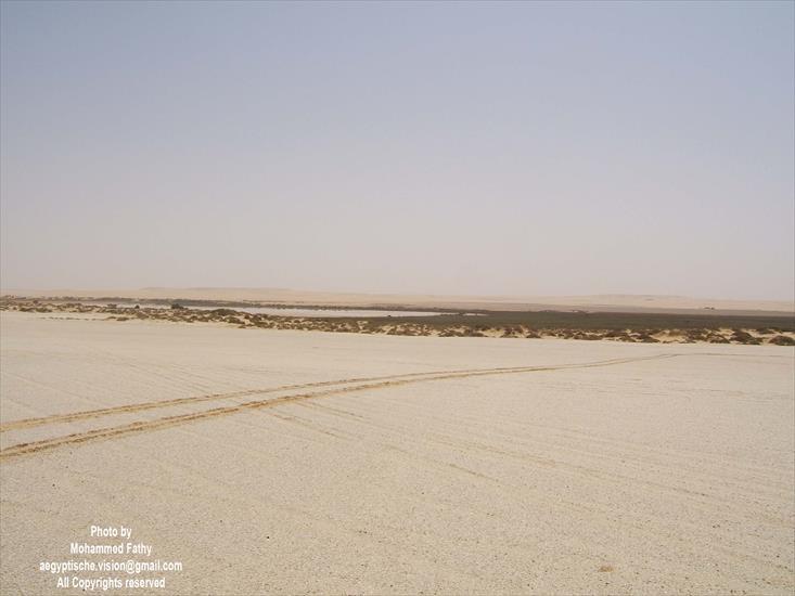 Desert - Desert 12.jpg