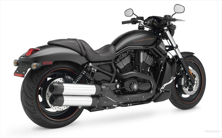 Harley - Harley 48.jpg