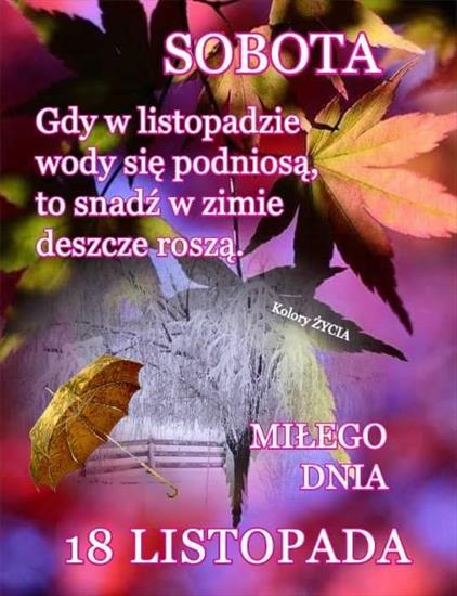 Na dzień dobry - IMG-20231118-WA0000.jpg