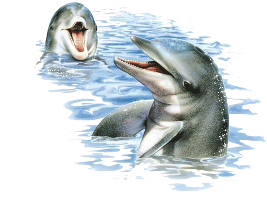 wikimala - delfiny.0066.gif