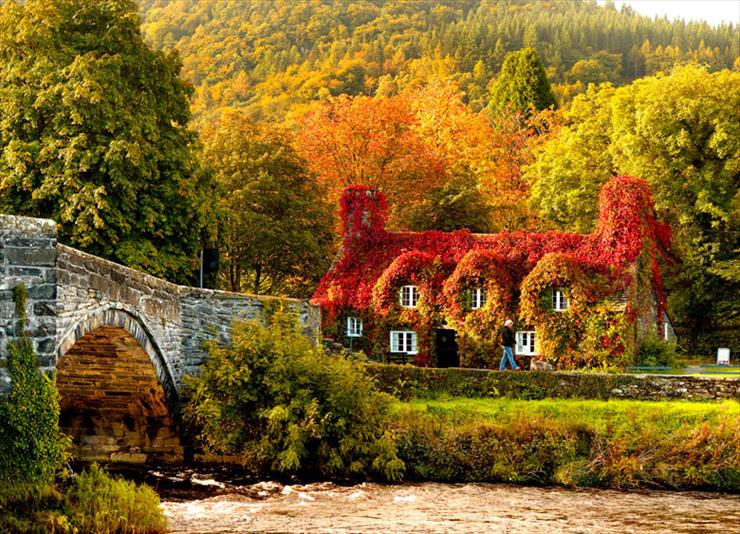 3.Jesienna - 35468-Beautiful-North-Wales-Home-In-Autumn.jpg