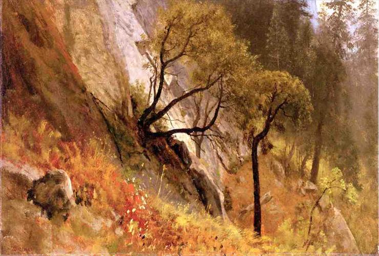 Albert Bierstads 1830  1902 - Bierstadt_Albert_Landscape_Study_Yosemite_California.jpg