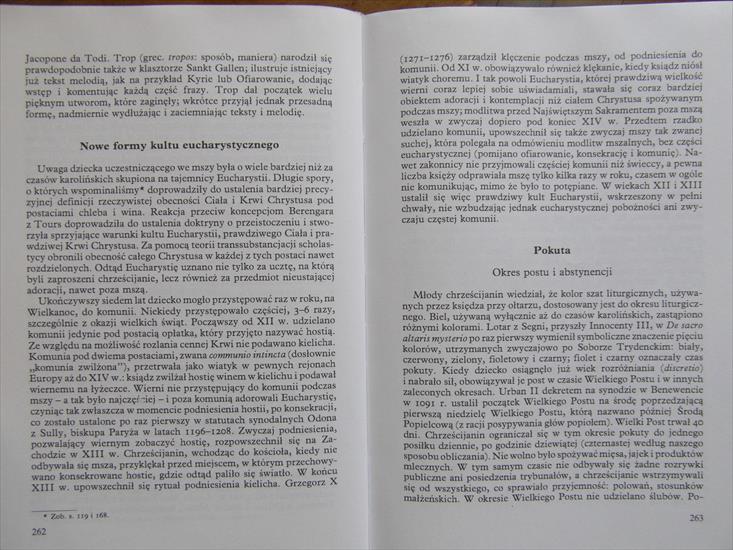 J. Chelini - Dzieje religijności w Europie Zachodniej w średniowieczu - SAM_1804.JPG