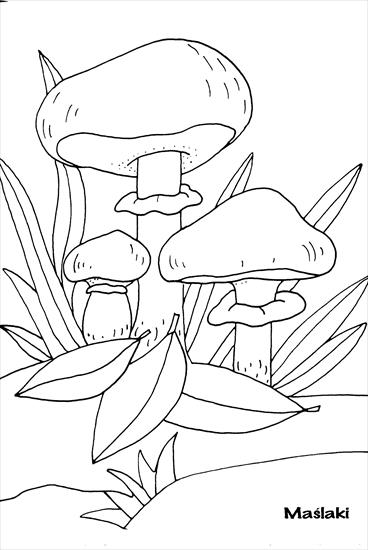 Grzyby2 - grzyby, grzybobranie - kolorowanka.jpg