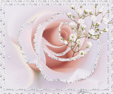 Kwiaty - delikatna_roza.gif