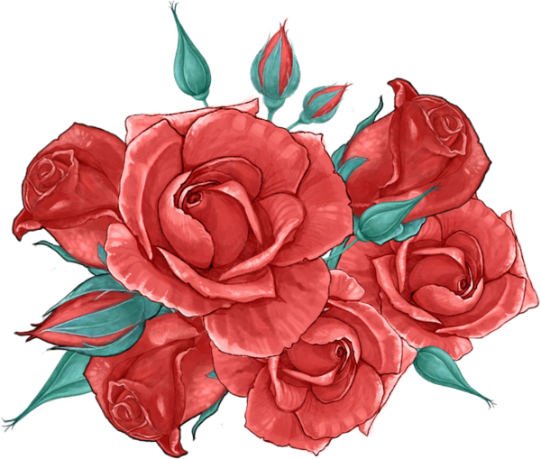 Róże - Róże.png