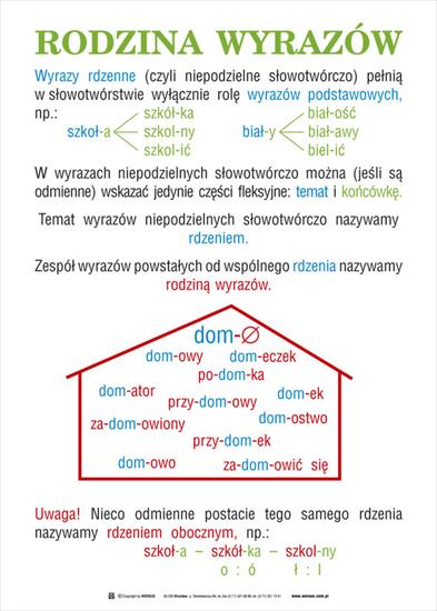 Język polski - Rodzina_wyrazow.jpg