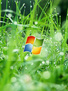 Tapety - Windows Vista.jpg