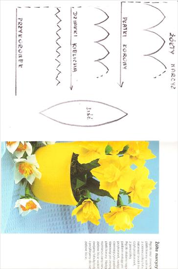 Kwiatki z papieru, tkanin i inne - narcyz 0011.jpg